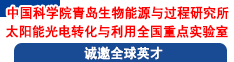 中國科學院青島生物能源與過程研究所太陽能光電轉(zhuǎn)化與利用全國重點實驗室誠邀全球英才